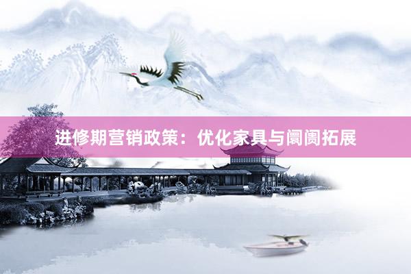 进修期营销政策:优化家具与阛阓拓展